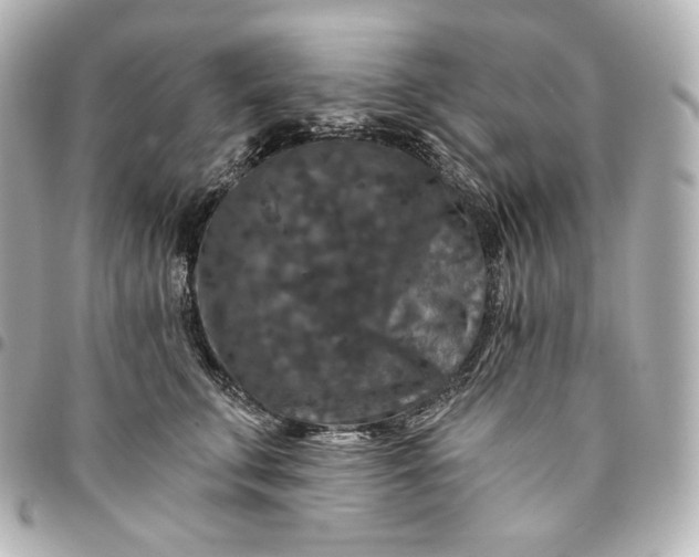 X0000095530711200712281522
