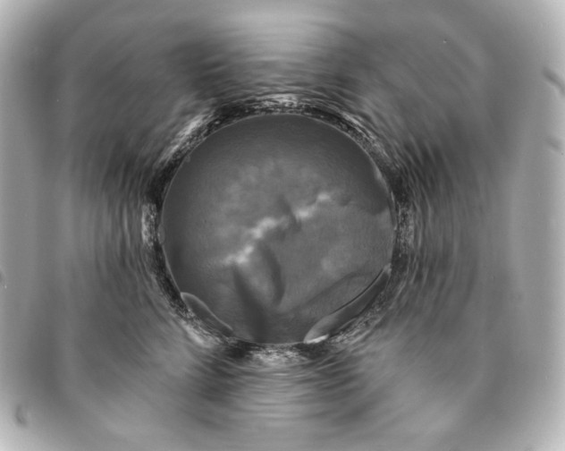 X0000095530712200712281522
