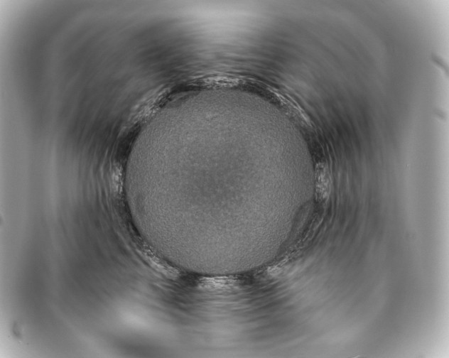 X0000095530713200712281522