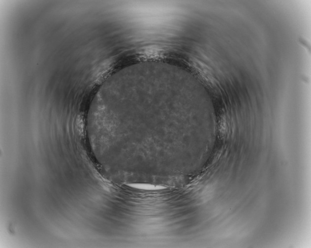 X0000095530715200712281522