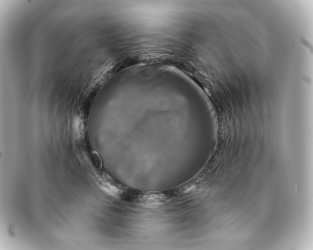 X0000095530716200712281522