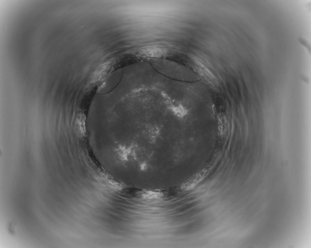 X0000095530718200712281522