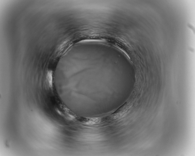 X0000095530720200712281522