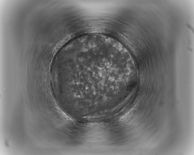 X0000095530721200712281521