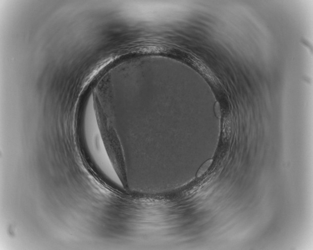 X0000095530722200712281521