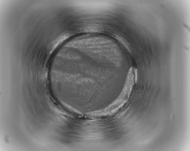 X0000095530723200712281521