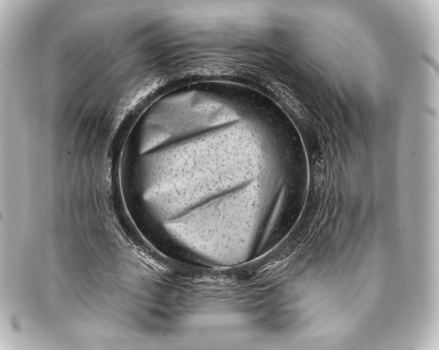 X0000095530727200712281521