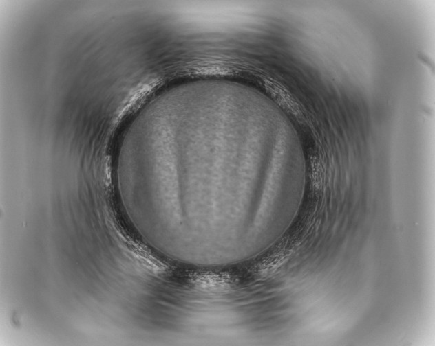 X0000095530731200712281521