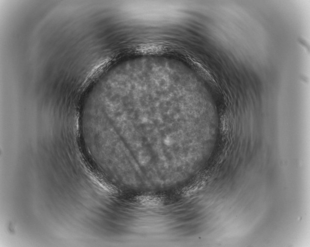 X0000095530733200712281521