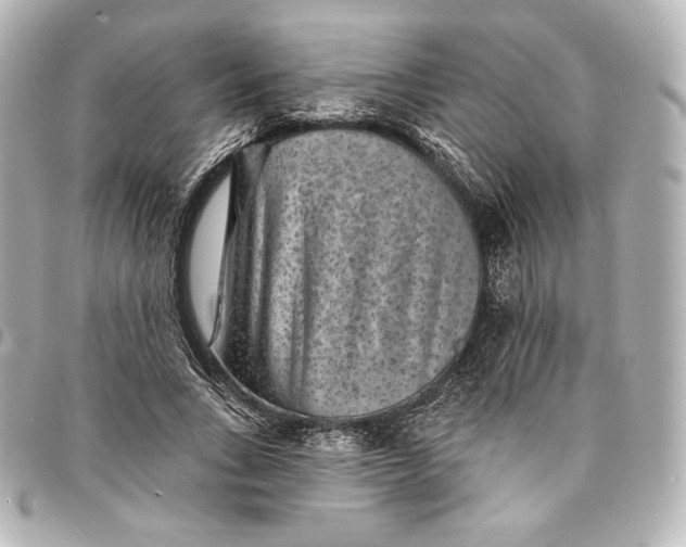X0000095530735200712281521
