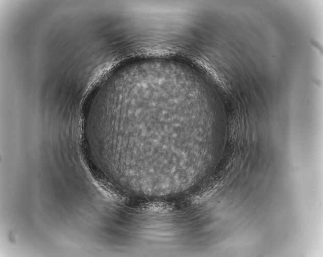 X0000095530736200712281521