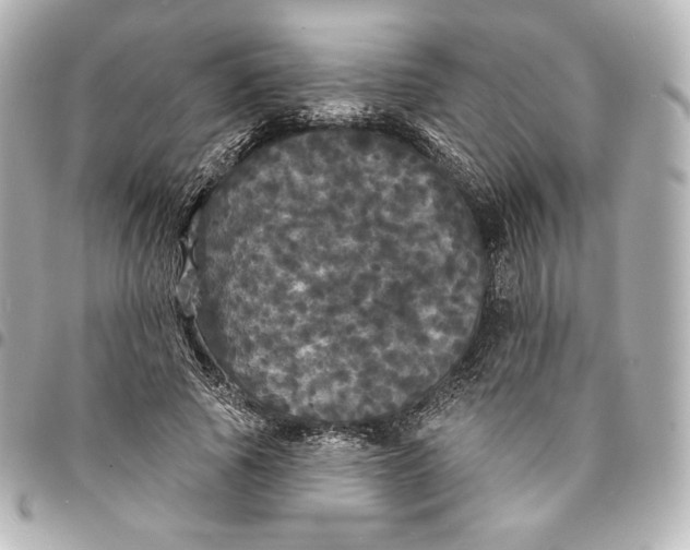 X0000095530737200712281521