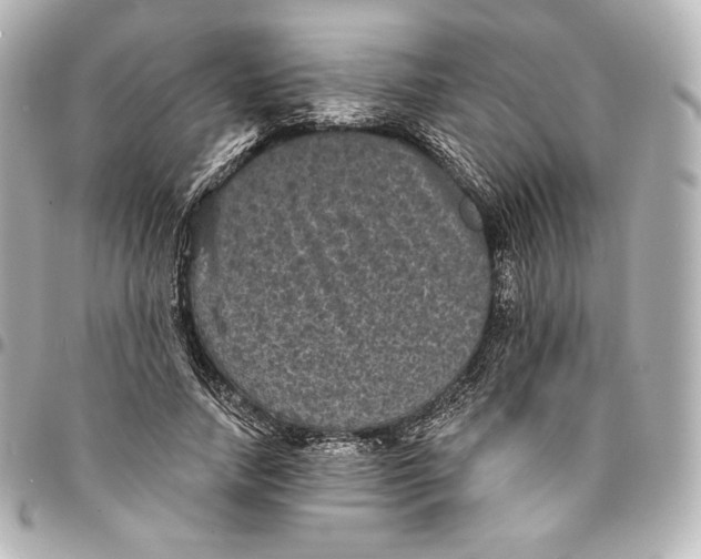 X0000095530738200712281521