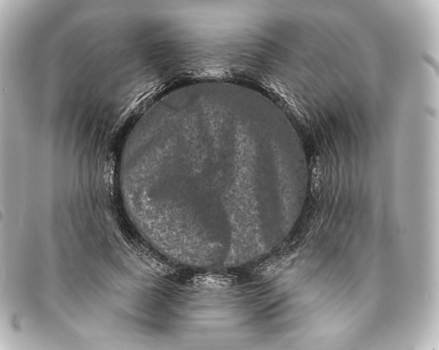 X0000095530739200712281521
