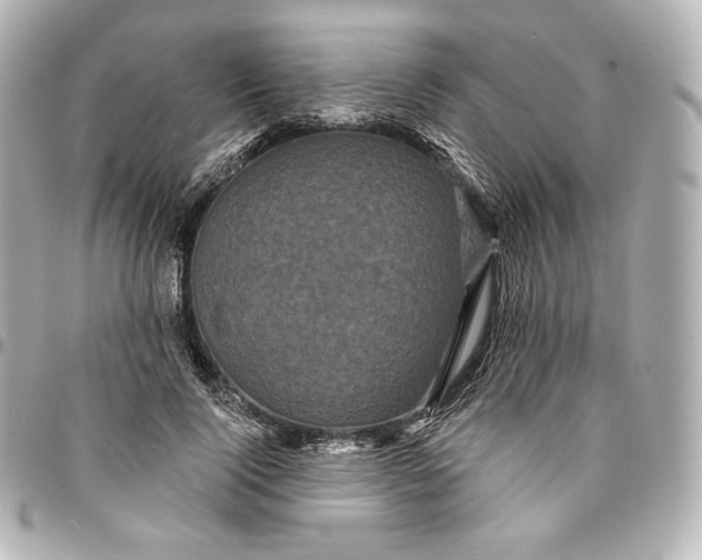 X0000095530740200712281521