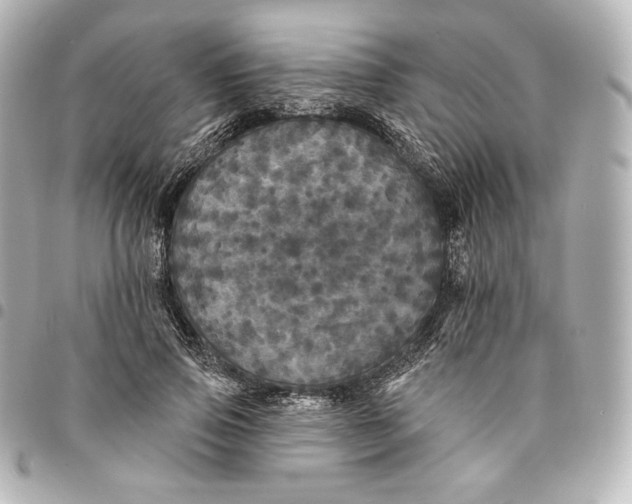 X0000095530741200712281521