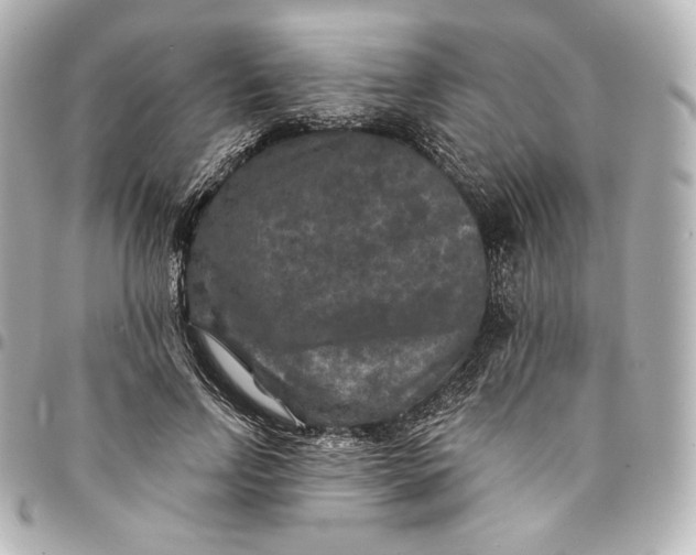 X0000095530742200712281521