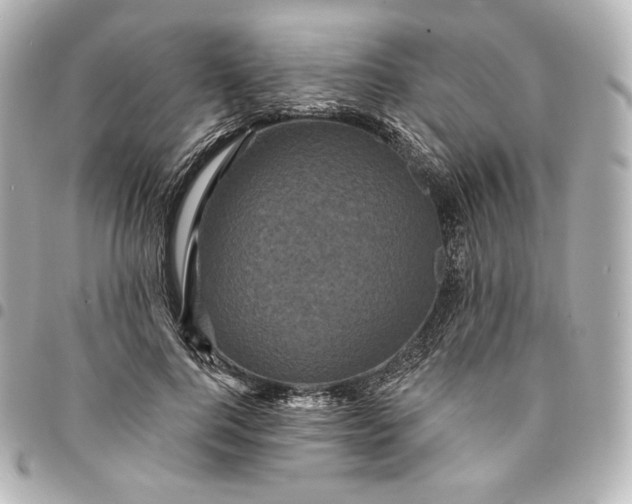 X0000095530744200712281521