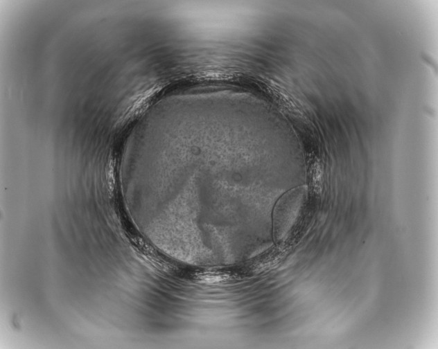 X0000095530746200712281521