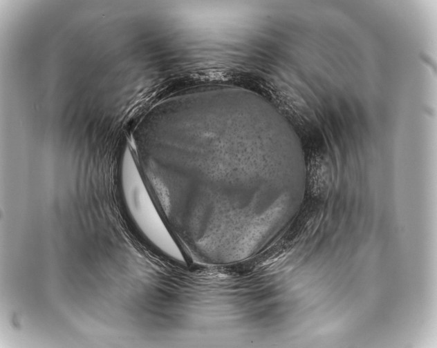 X0000095530747200712281521
