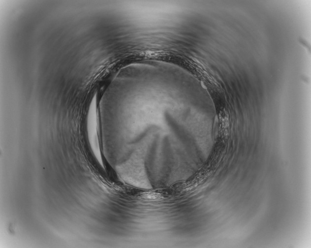 X0000095530750200712281522