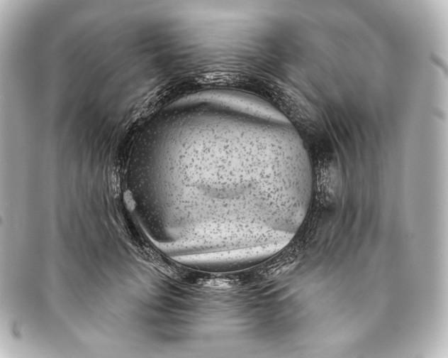 X0000095530751200712281522
