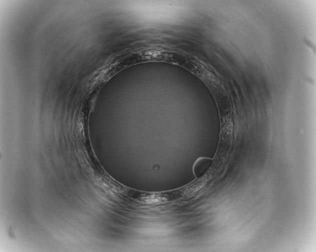 X0000095530754200712281522