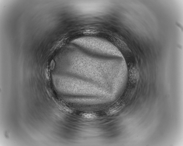 X0000095530755200712281522