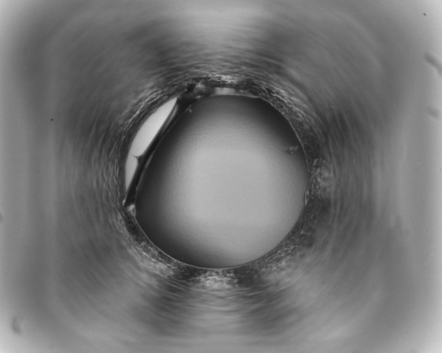 X0000095530756200712281522