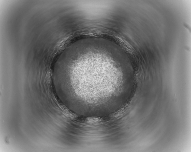 X0000095530757200712281522
