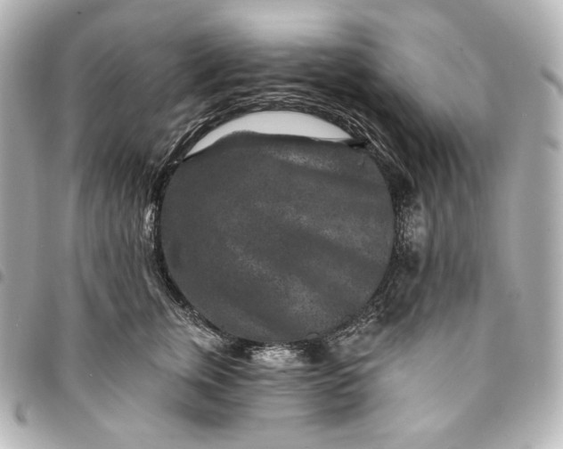 X0000095530759200712281522