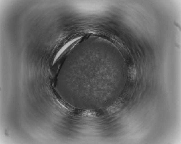 X0000095530760200712281522