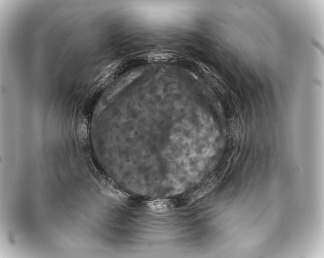 X0000095530761200712281522