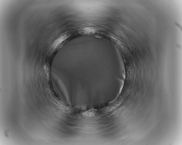 X0000095530762200712281522