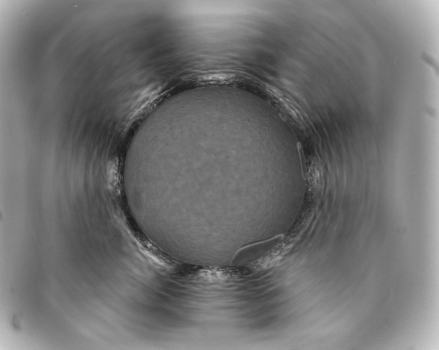 X0000095530764200712281522