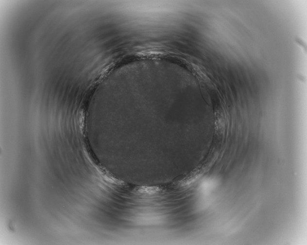 X0000095530767200712281522