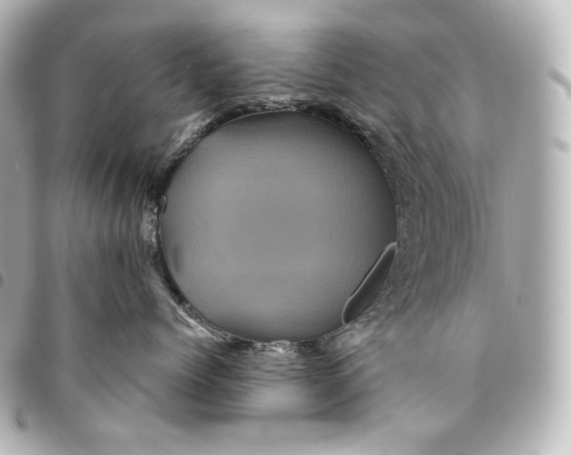 X0000095530768200712281522
