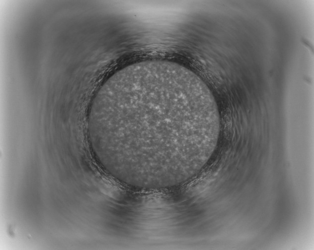 X0000095530769200712281521