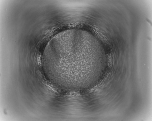 X0000095530770200712281521