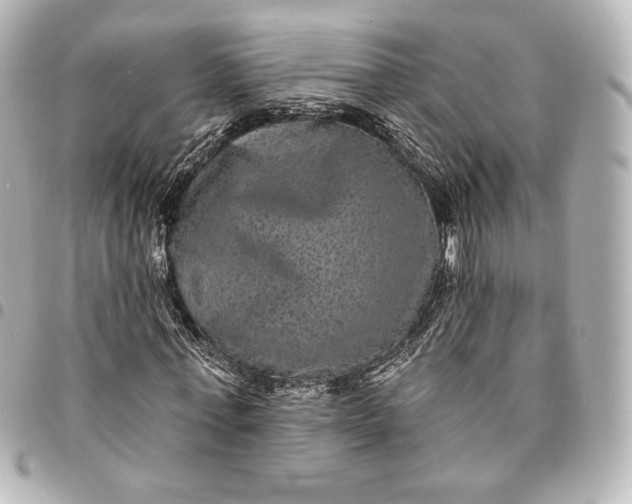 X0000095530771200712281521