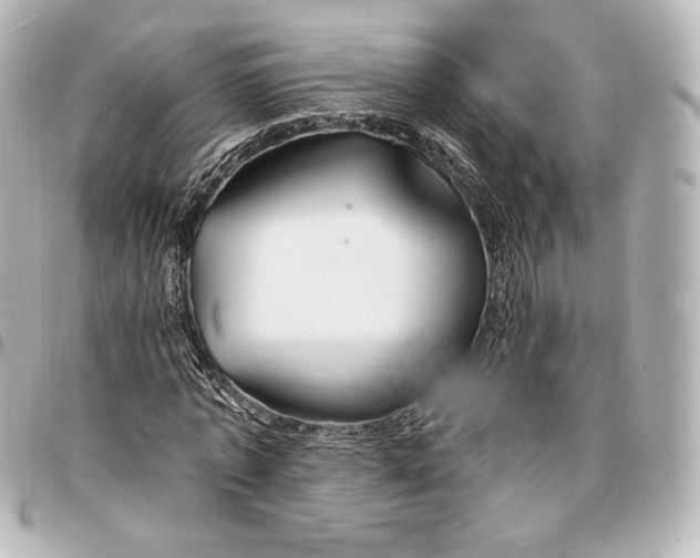 X0000095530773200712281521