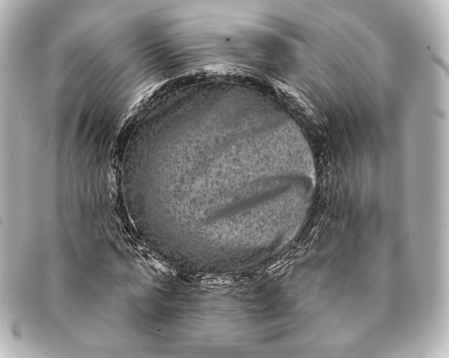 X0000095530776200712281521