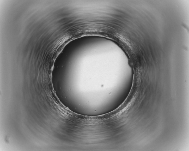X0000095530777200712281521