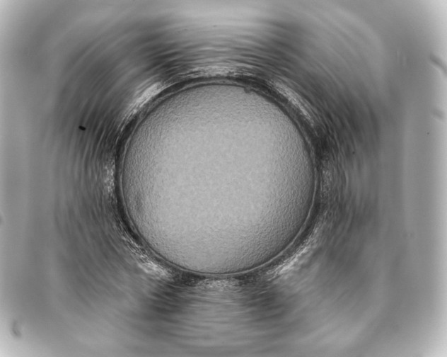 X0000095530778200712281521