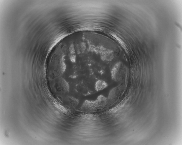 X0000095530779200712281521