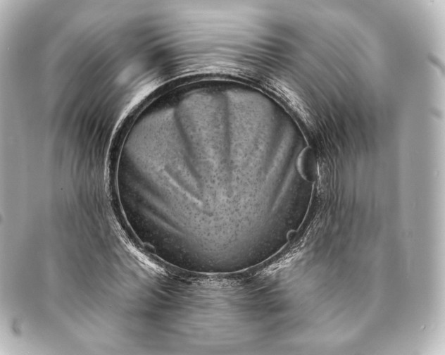 X0000095530780200712281521