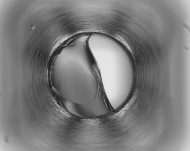 X0000095530781200712281521