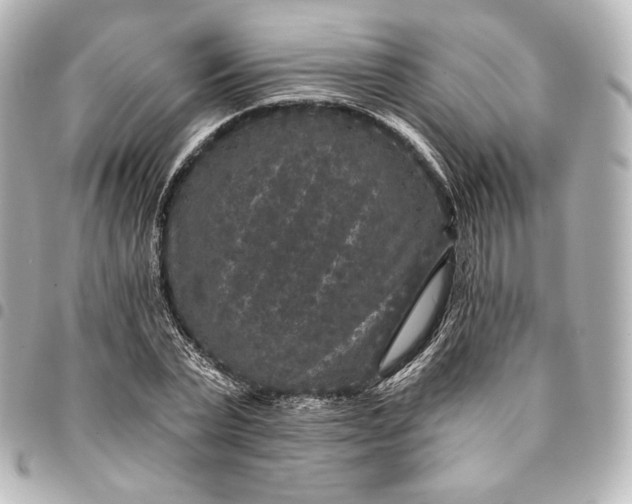 X0000095530783200712281521