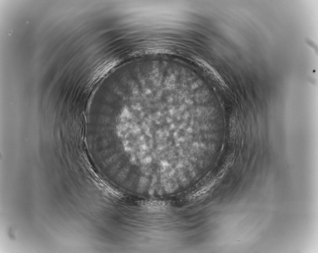 X0000095530785200712281521