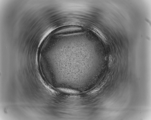 X0000095530788200712281521